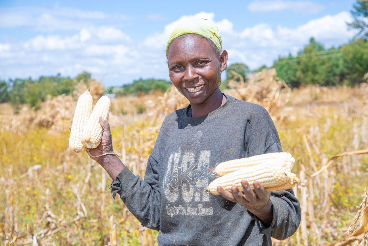 Curbing Post-harvest Loss for Food Security: 4 Lessons from the Field.