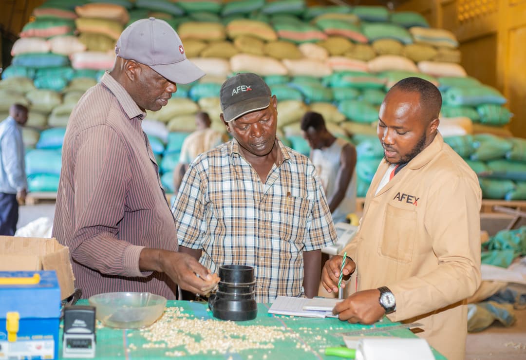 3 men in an AFEX warehouse in Kenya.