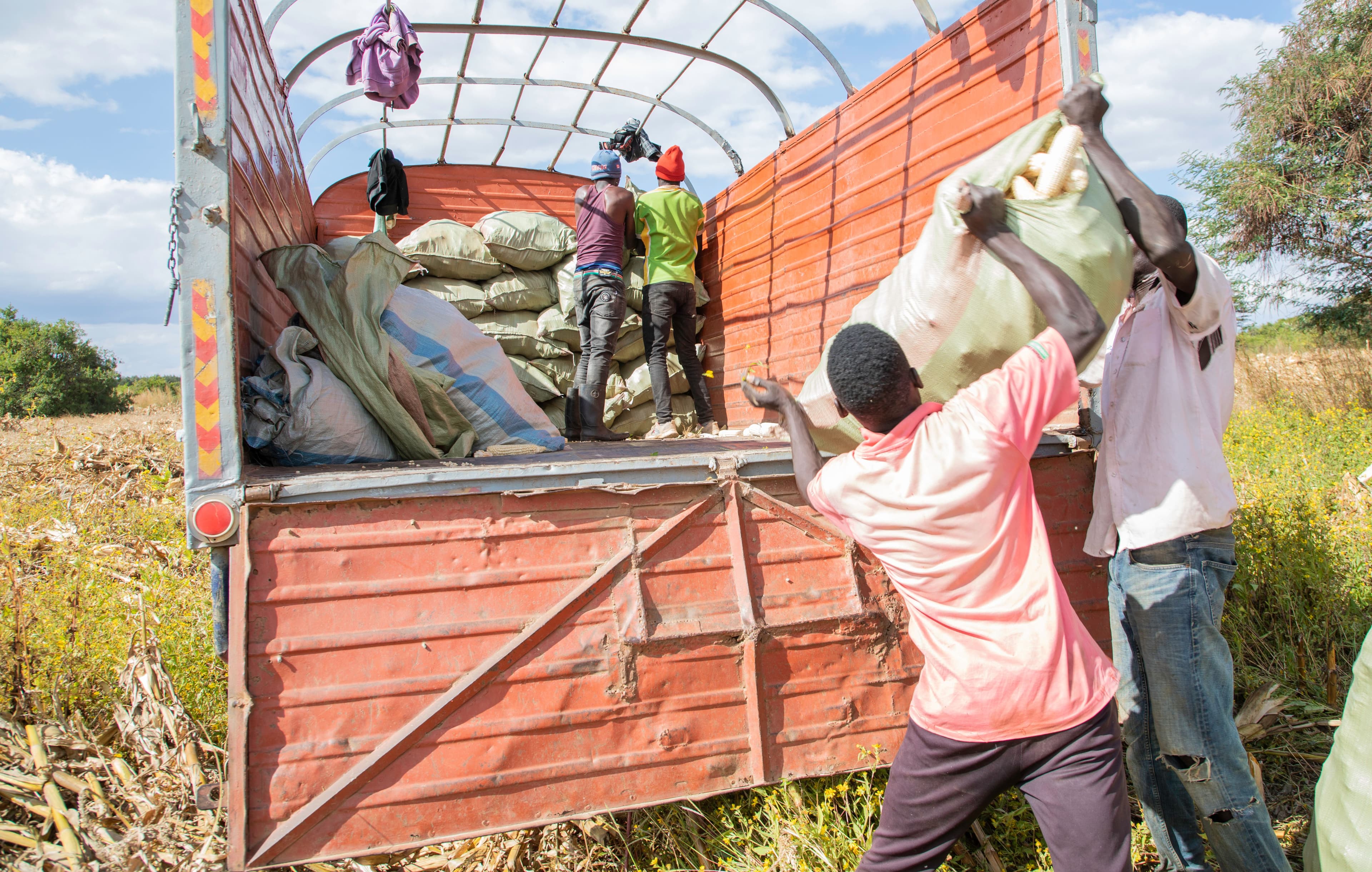 Tackling Food Waste in Africa - We Need to Make Haste